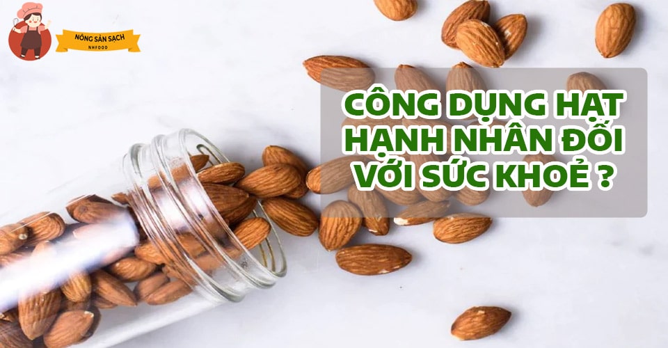 Công Dụng Hạt Hạnh Nhân