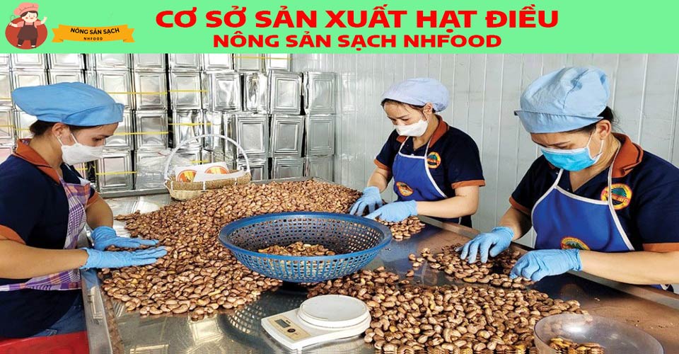 Cơ Sở Sản Xuất Hạt Điều