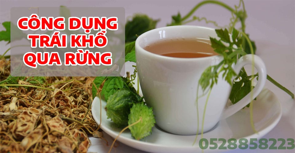 Tác Dụng Khổ Qua Rừng