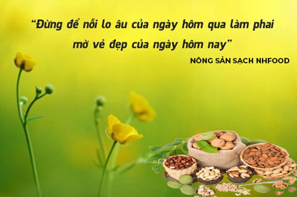 Bột Ngũ Cốc Dinh Dưỡng