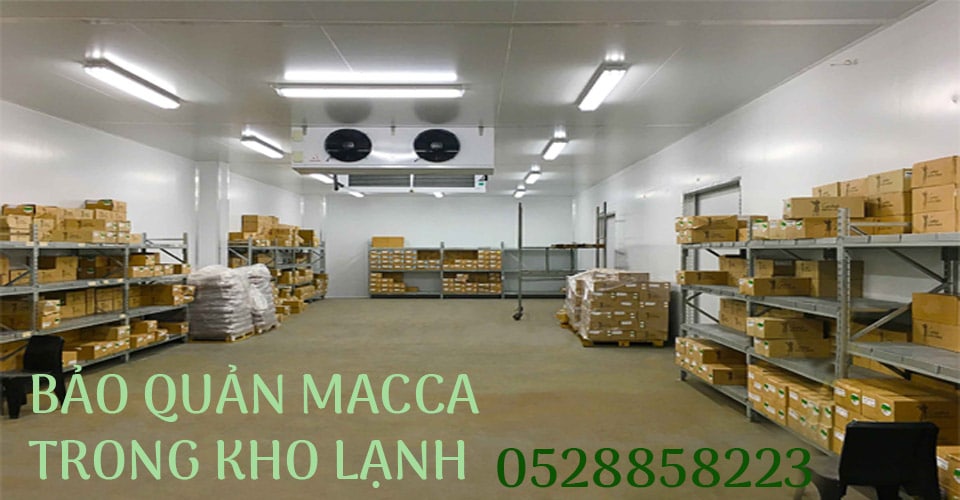 Cách Bảo Quản Hạt Macca