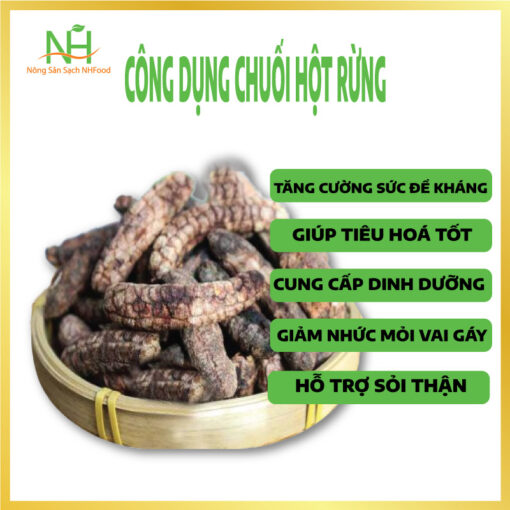 Công Dụng Chuối Hột Rừng