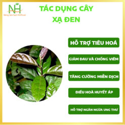 Tác Dụng Cây Xạ Đen