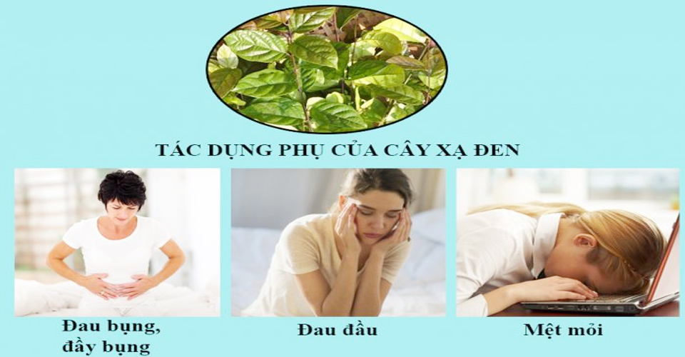 Tác Dụng Phụ Của Cây Xạ Đen