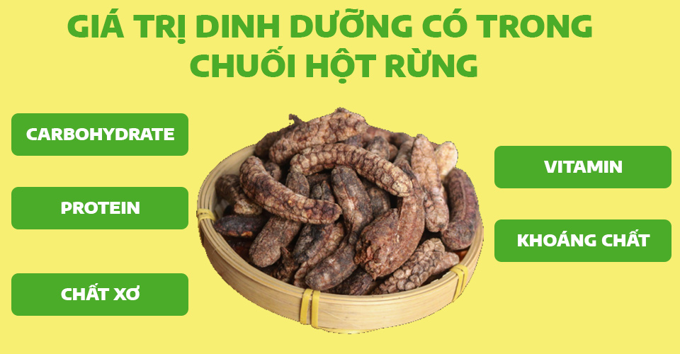 Giá trị dinh dưỡng có trong chuối hột rừng