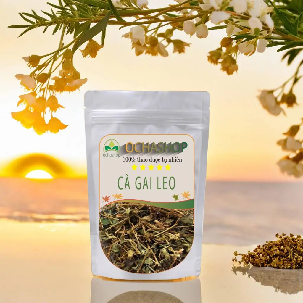 Cà Gai Leo